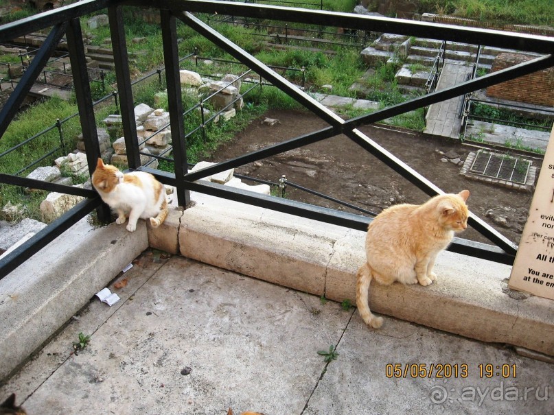 Майская поездка в Рим и Венецию