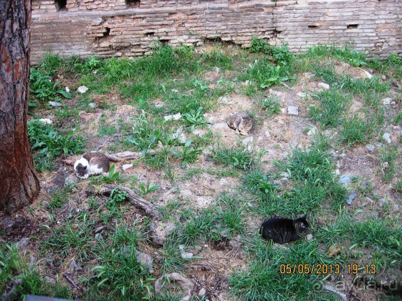 Майская поездка в Рим и Венецию