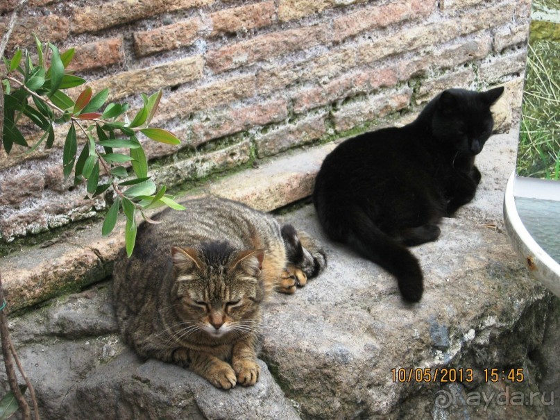 Майская поездка в Рим и Венецию