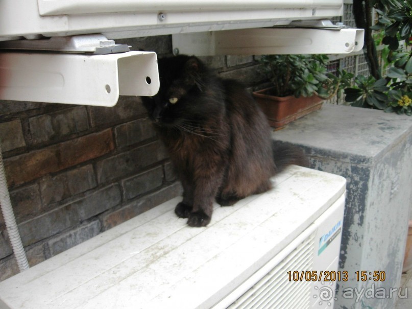 Майская поездка в Рим и Венецию