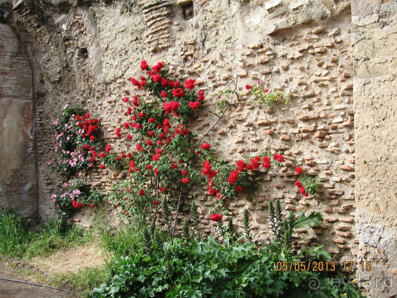 Майская поездка в Рим и Венецию