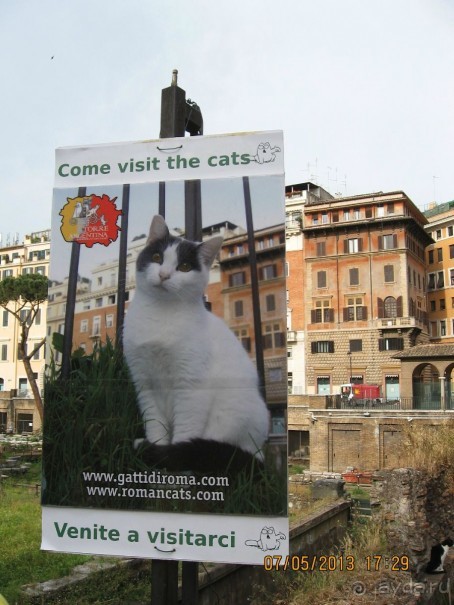 Майская поездка в Рим и Венецию