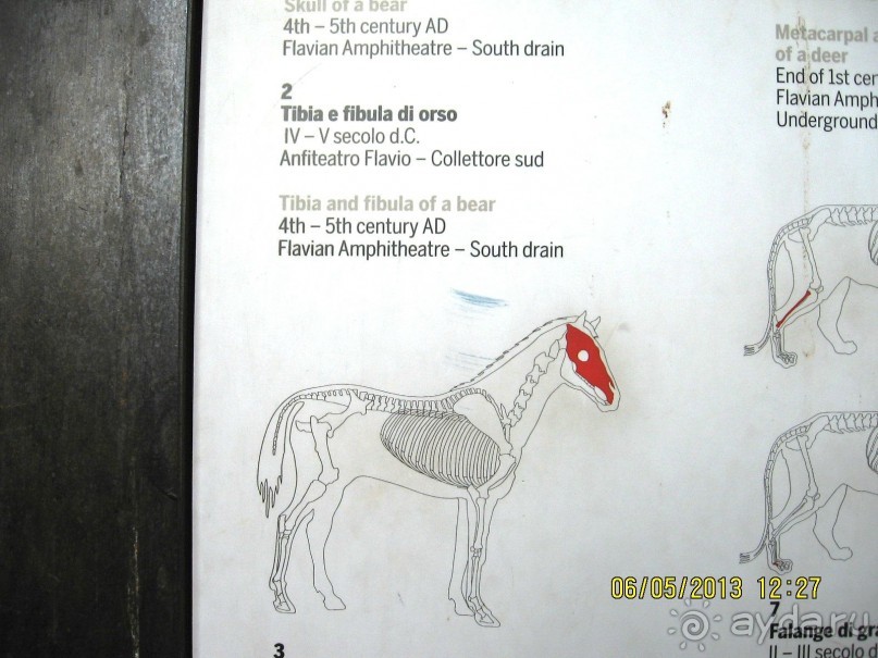 Майская поездка в Рим и Венецию