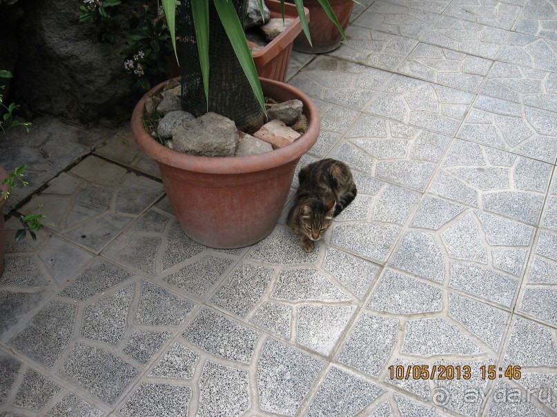 Майская поездка в Рим и Венецию