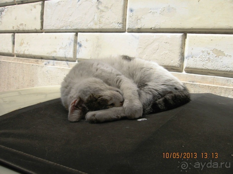 Майская поездка в Рим и Венецию