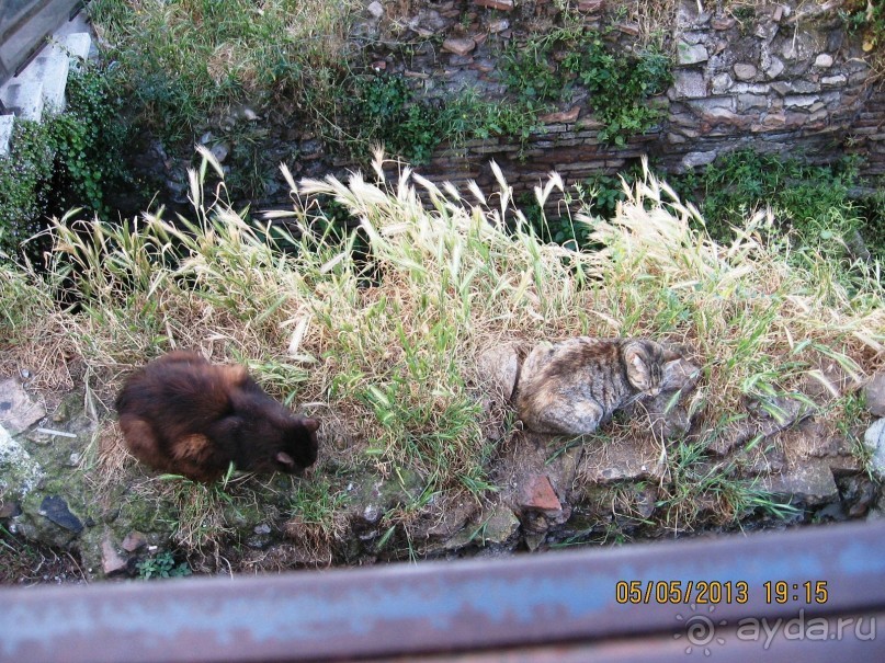 Майская поездка в Рим и Венецию