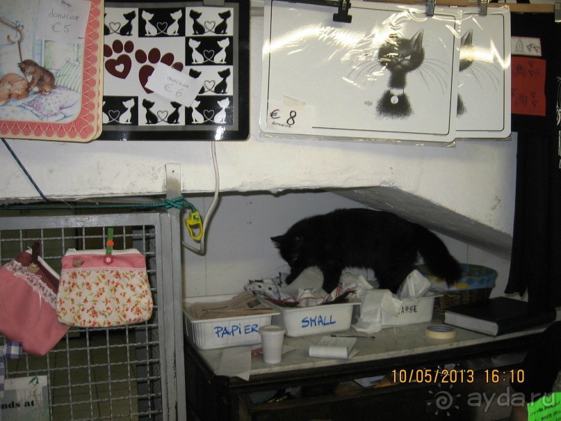 Майская поездка в Рим и Венецию