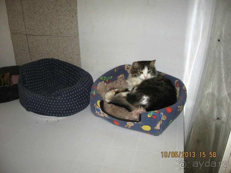 Майская поездка в Рим и Венецию