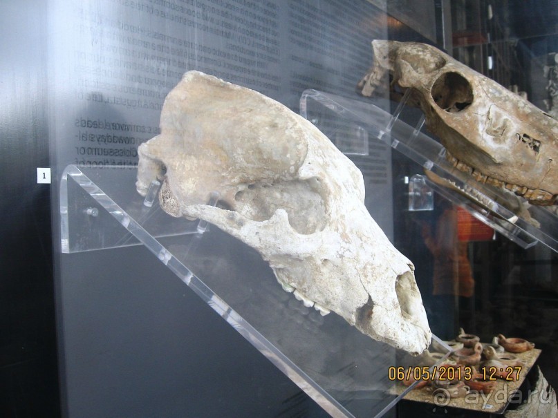 Майская поездка в Рим и Венецию