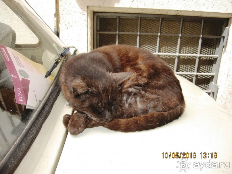 Майская поездка в Рим и Венецию