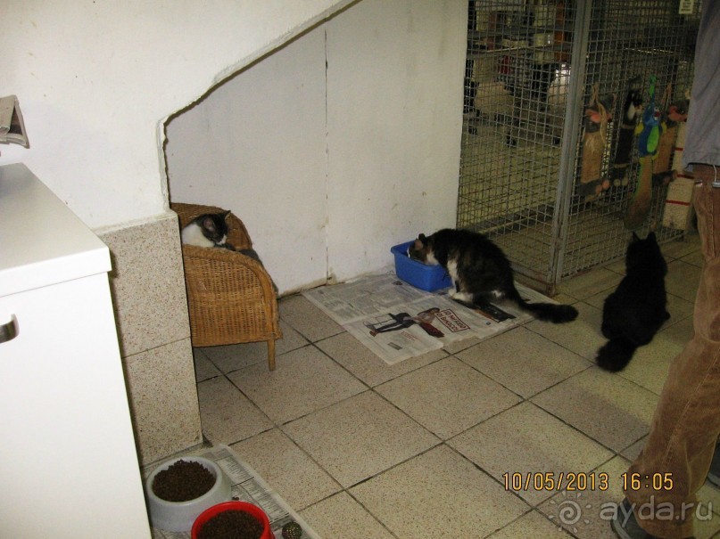 Майская поездка в Рим и Венецию