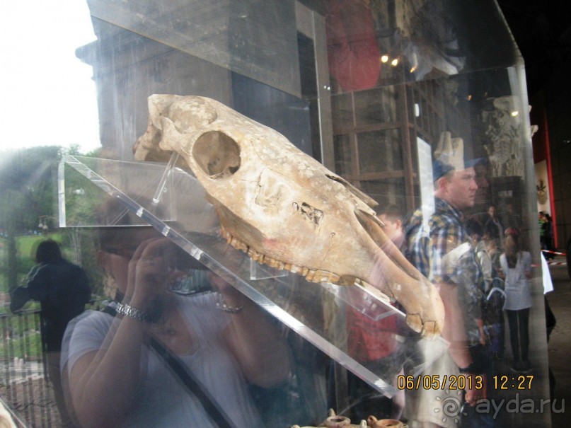 Майская поездка в Рим и Венецию