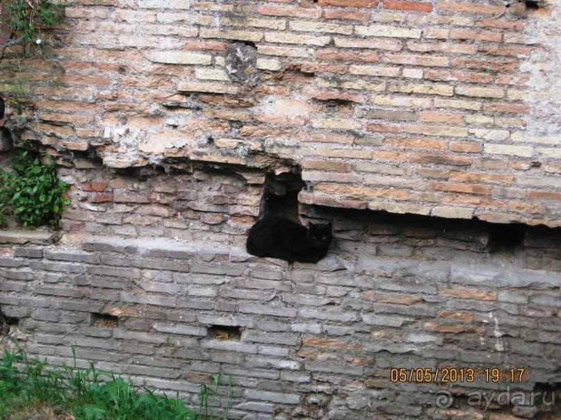 Майская поездка в Рим и Венецию