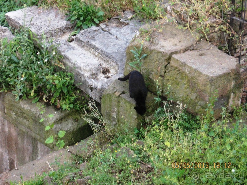 Майская поездка в Рим и Венецию