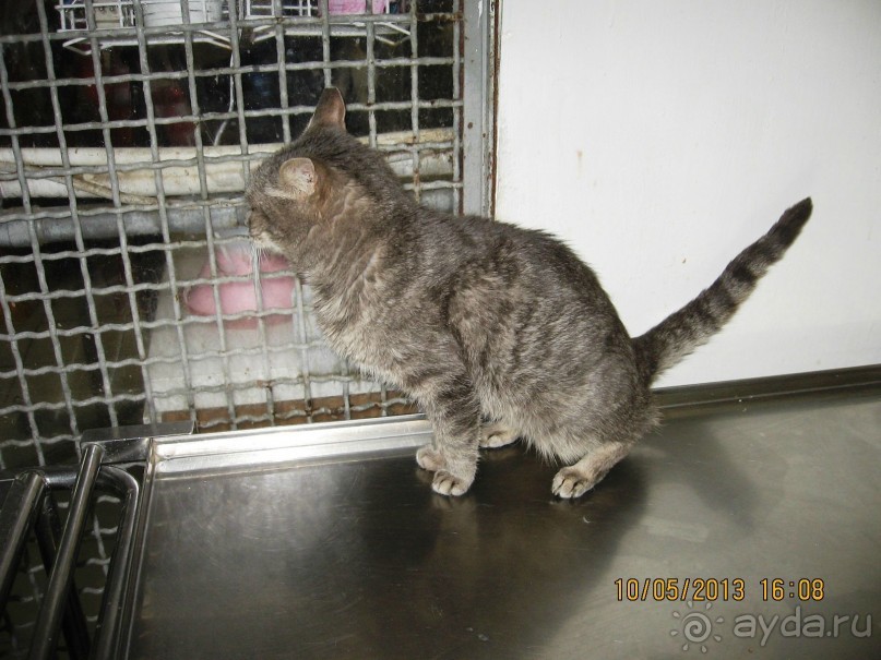 Майская поездка в Рим и Венецию