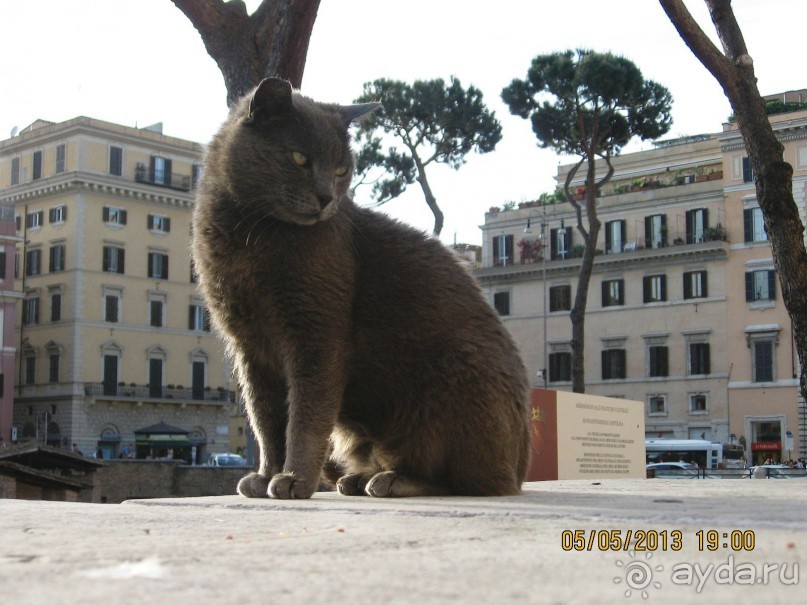Майская поездка в Рим и Венецию