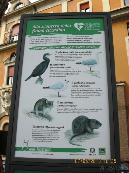 Майская поездка в Рим и Венецию