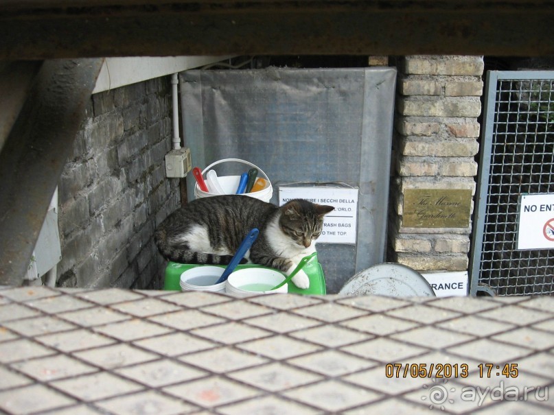 Майская поездка в Рим и Венецию