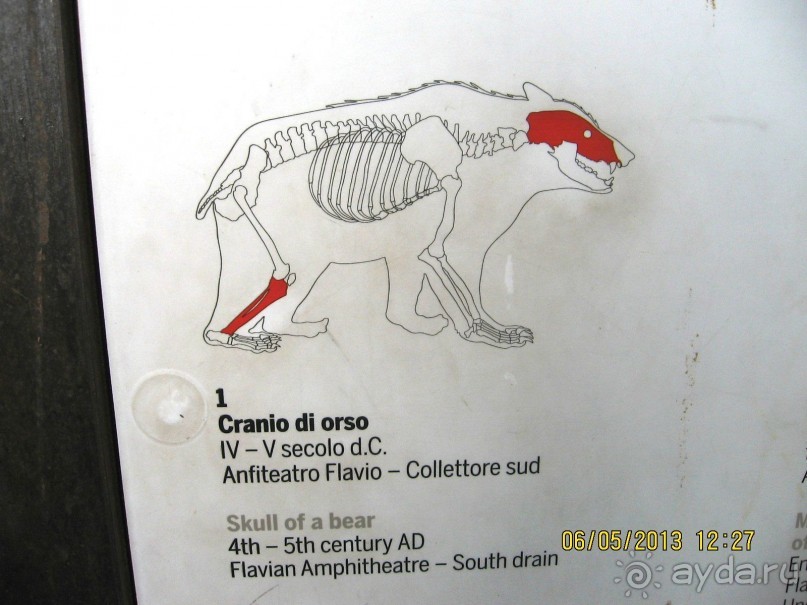 Майская поездка в Рим и Венецию