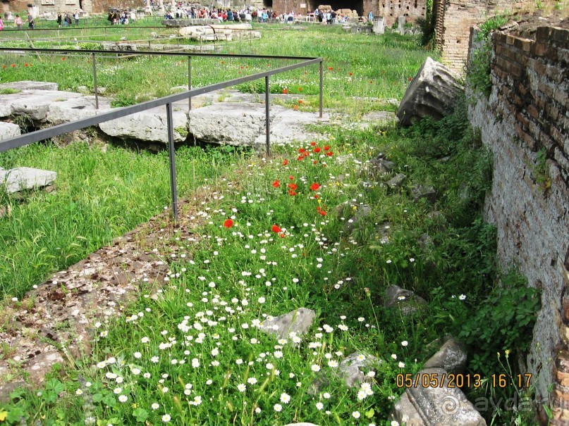 Майская поездка в Рим и Венецию