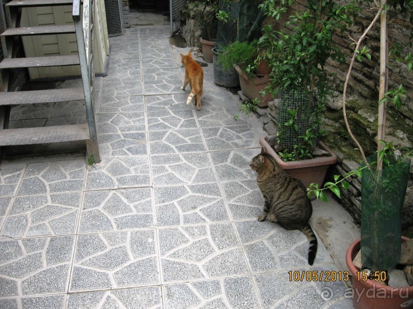 Майская поездка в Рим и Венецию