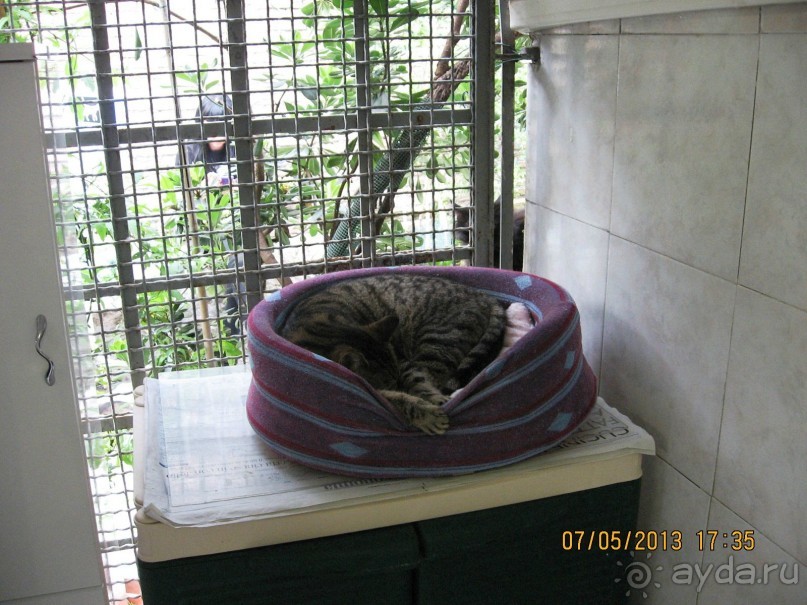 Майская поездка в Рим и Венецию