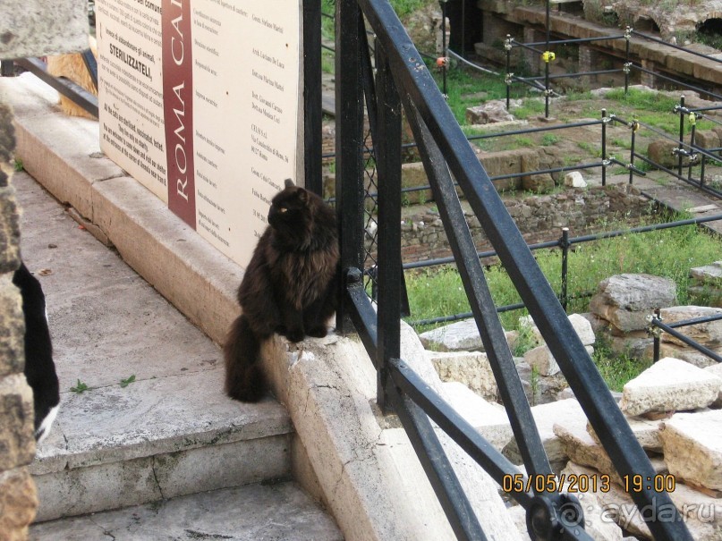 Майская поездка в Рим и Венецию