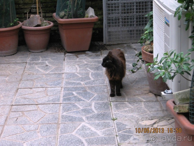 Майская поездка в Рим и Венецию