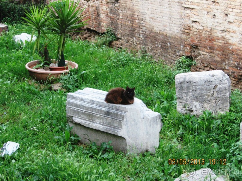 Майская поездка в Рим и Венецию