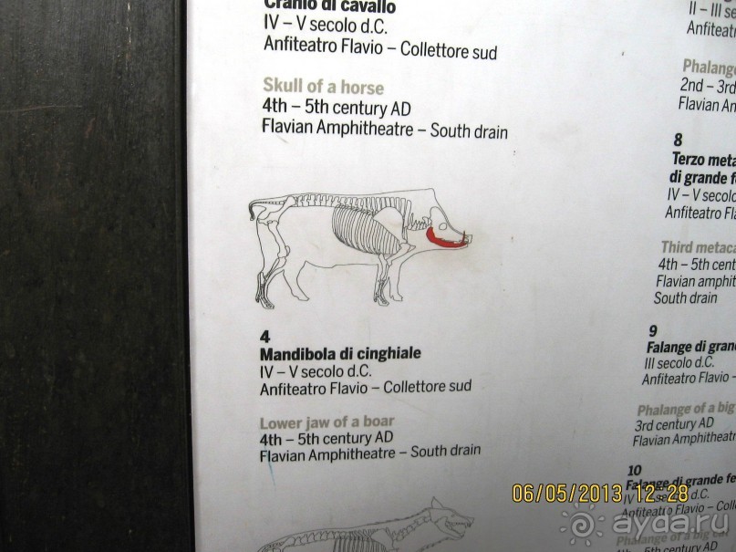 Майская поездка в Рим и Венецию