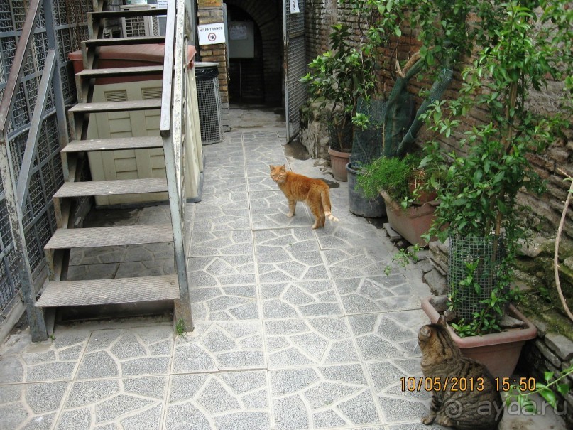 Майская поездка в Рим и Венецию