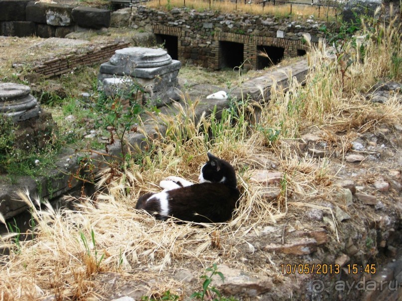 Майская поездка в Рим и Венецию