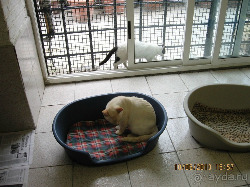 Майская поездка в Рим и Венецию