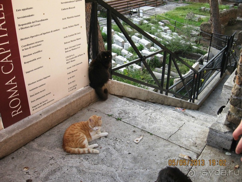 Майская поездка в Рим и Венецию