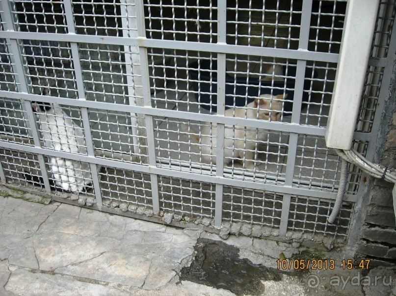 Майская поездка в Рим и Венецию