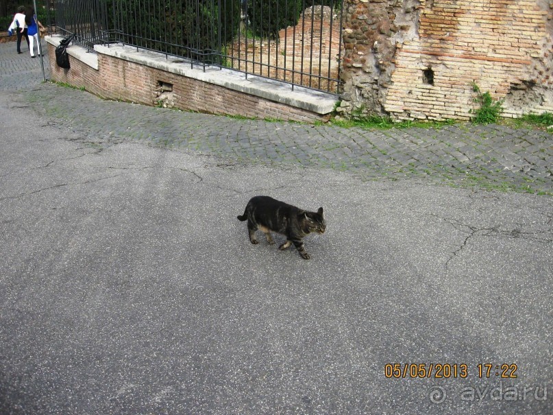 Майская поездка в Рим и Венецию