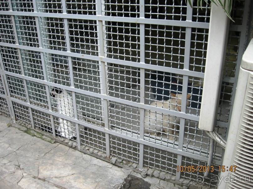 Майская поездка в Рим и Венецию