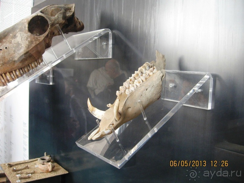 Майская поездка в Рим и Венецию