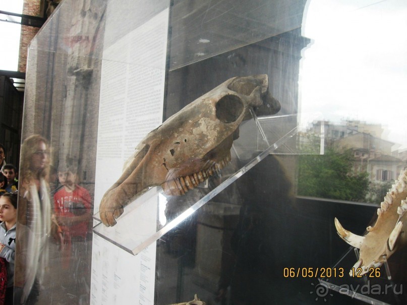 Майская поездка в Рим и Венецию