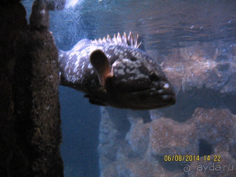 САМОСТОЯТЕЛЬНОЕ ПУТЕШЕСТВИЕ ПО ГРЕЦИИ