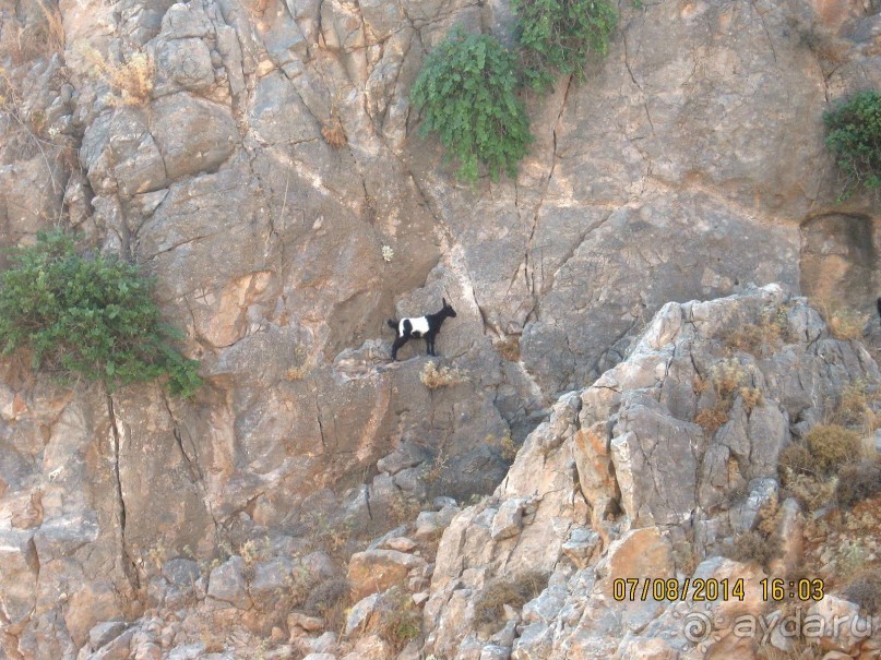 САМОСТОЯТЕЛЬНОЕ ПУТЕШЕСТВИЕ ПО ГРЕЦИИ