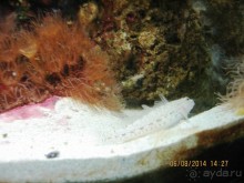 САМОСТОЯТЕЛЬНОЕ ПУТЕШЕСТВИЕ ПО ГРЕЦИИ