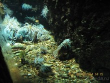 САМОСТОЯТЕЛЬНОЕ ПУТЕШЕСТВИЕ ПО ГРЕЦИИ