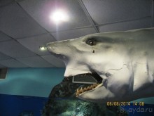 САМОСТОЯТЕЛЬНОЕ ПУТЕШЕСТВИЕ ПО ГРЕЦИИ