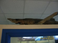 САМОСТОЯТЕЛЬНОЕ ПУТЕШЕСТВИЕ ПО ГРЕЦИИ