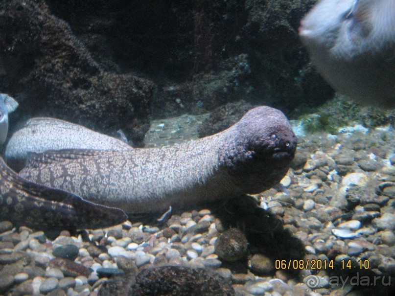 САМОСТОЯТЕЛЬНОЕ ПУТЕШЕСТВИЕ ПО ГРЕЦИИ