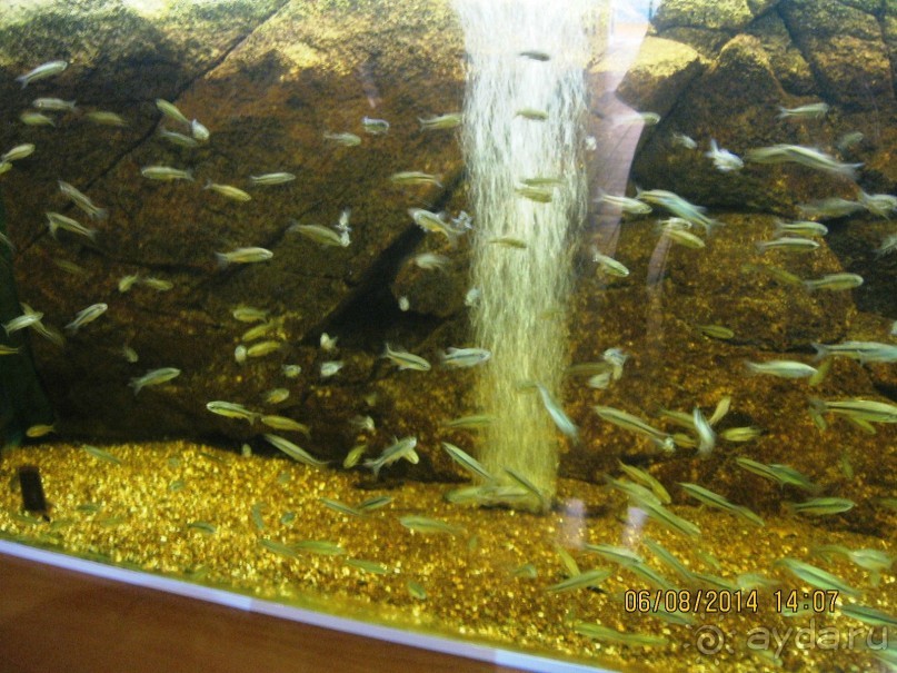 САМОСТОЯТЕЛЬНОЕ ПУТЕШЕСТВИЕ ПО ГРЕЦИИ