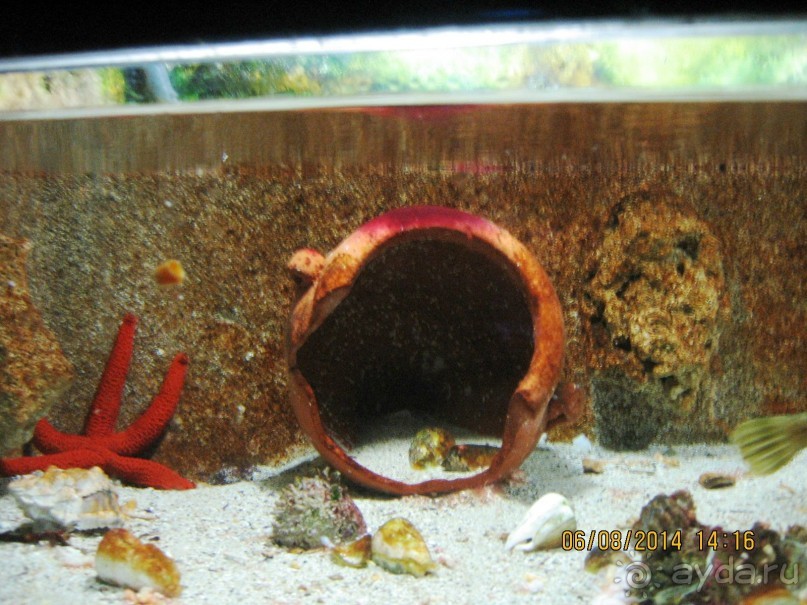 САМОСТОЯТЕЛЬНОЕ ПУТЕШЕСТВИЕ ПО ГРЕЦИИ