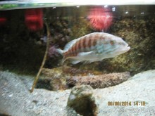 САМОСТОЯТЕЛЬНОЕ ПУТЕШЕСТВИЕ ПО ГРЕЦИИ