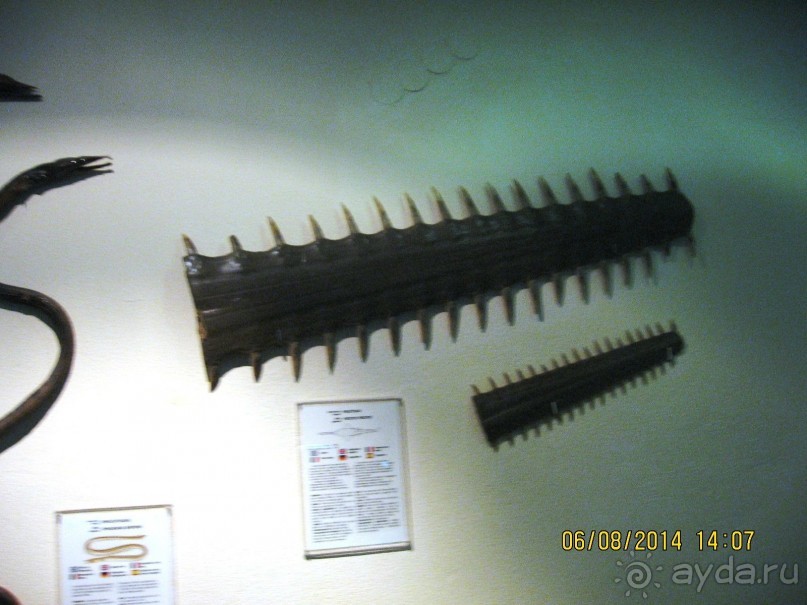 САМОСТОЯТЕЛЬНОЕ ПУТЕШЕСТВИЕ ПО ГРЕЦИИ